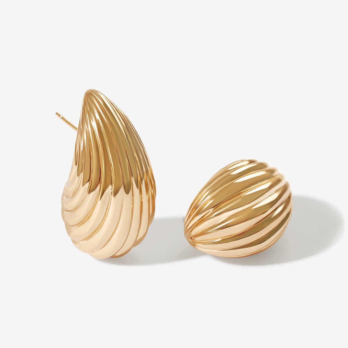 Shell Earrings